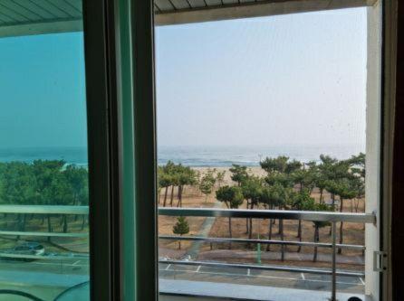 Pine Beach Yangyang Bagian luar foto