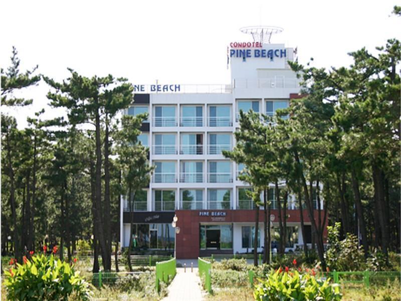 Pine Beach Yangyang Bagian luar foto