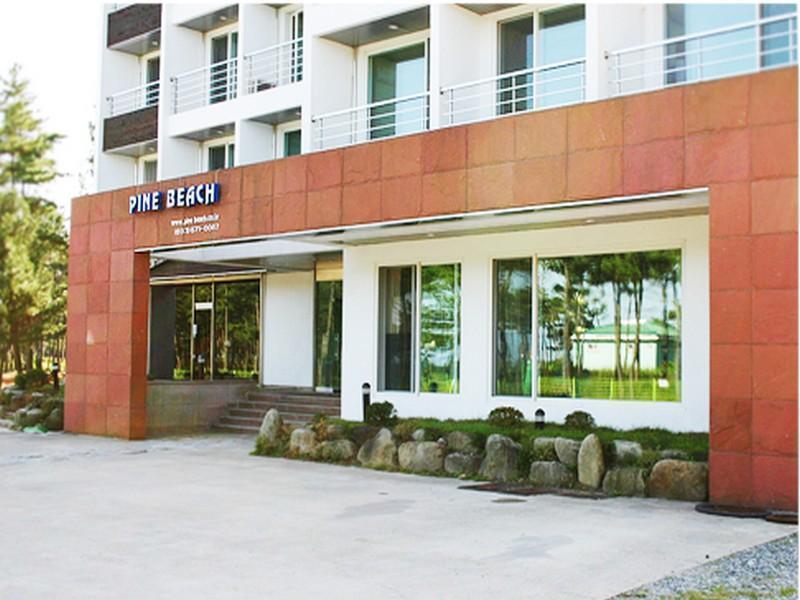 Pine Beach Yangyang Bagian luar foto