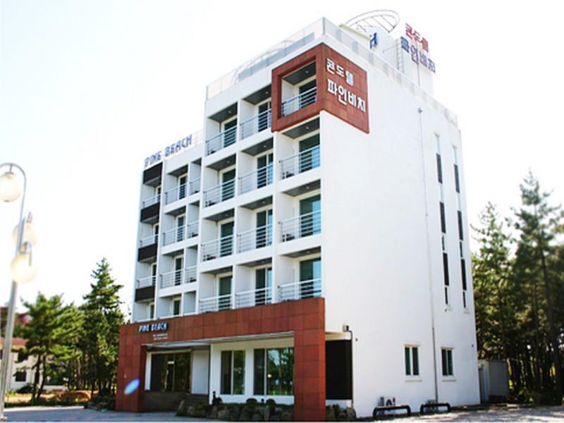 Pine Beach Yangyang Bagian luar foto