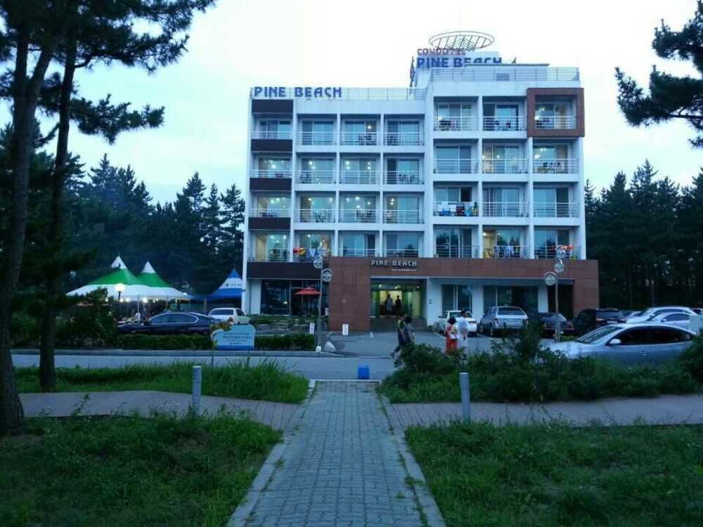 Pine Beach Yangyang Bagian luar foto