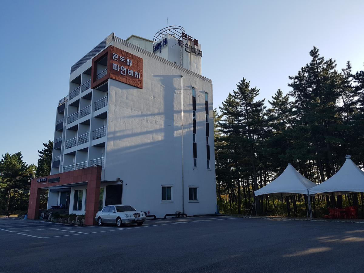 Pine Beach Yangyang Bagian luar foto
