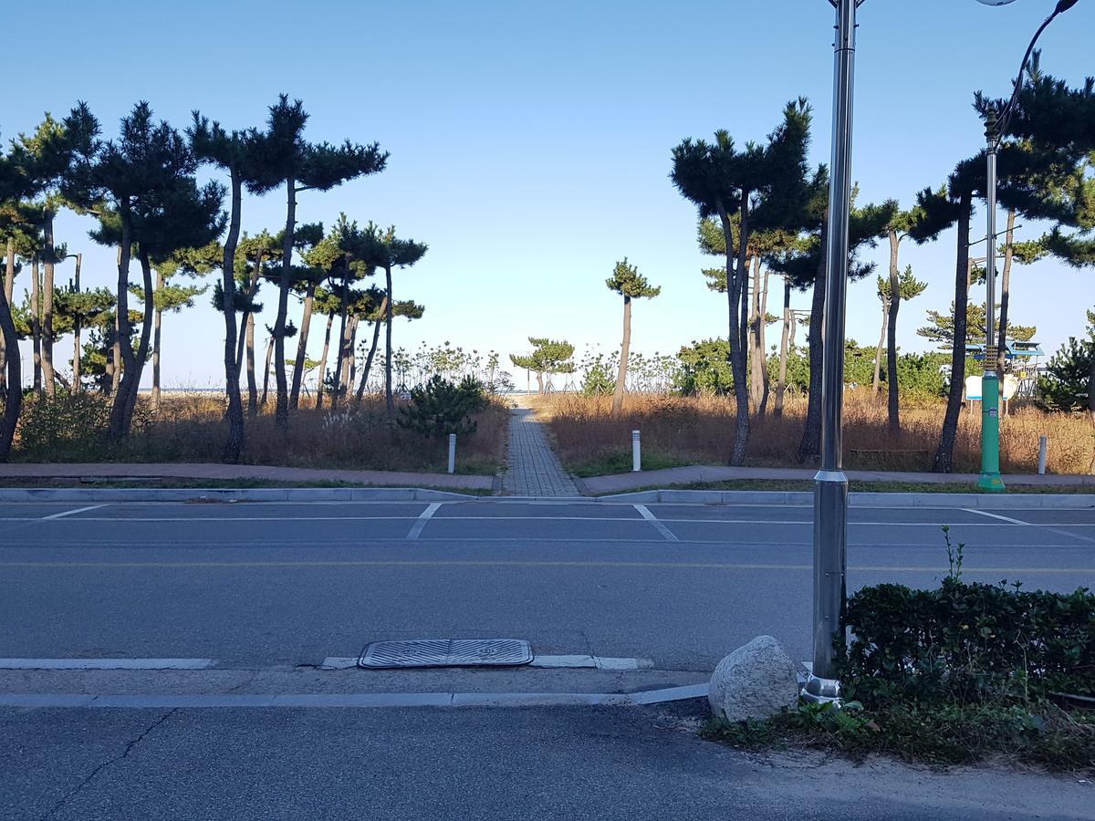 Pine Beach Yangyang Bagian luar foto