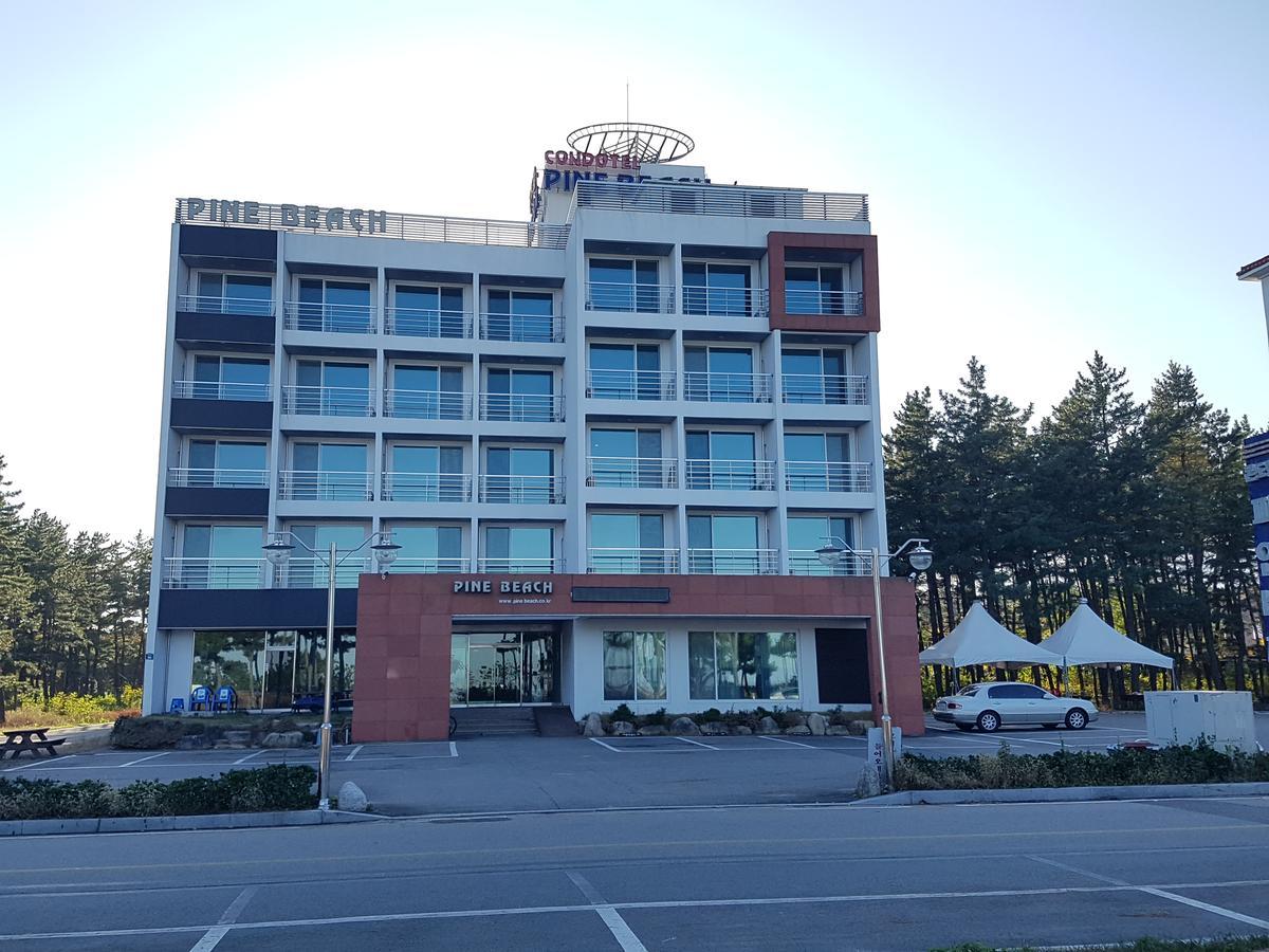 Pine Beach Yangyang Bagian luar foto