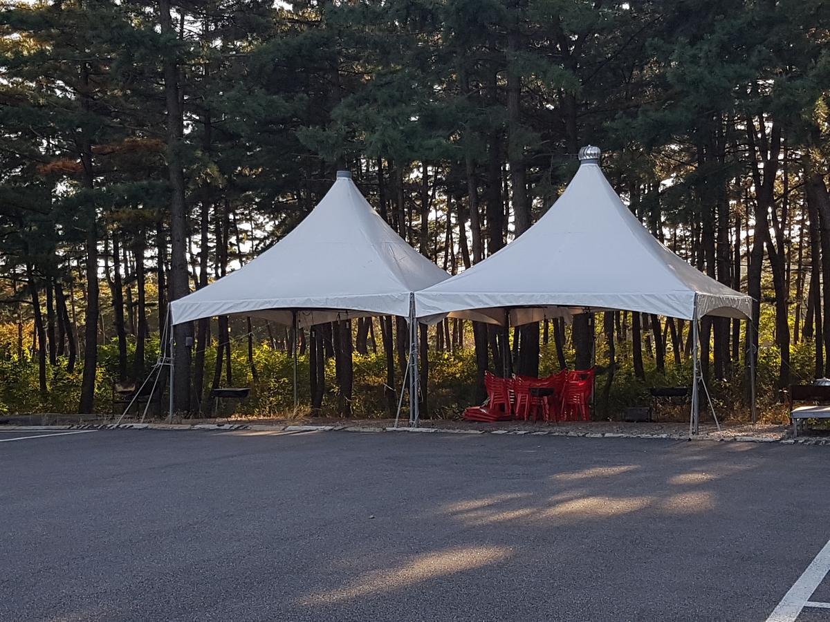 Pine Beach Yangyang Bagian luar foto