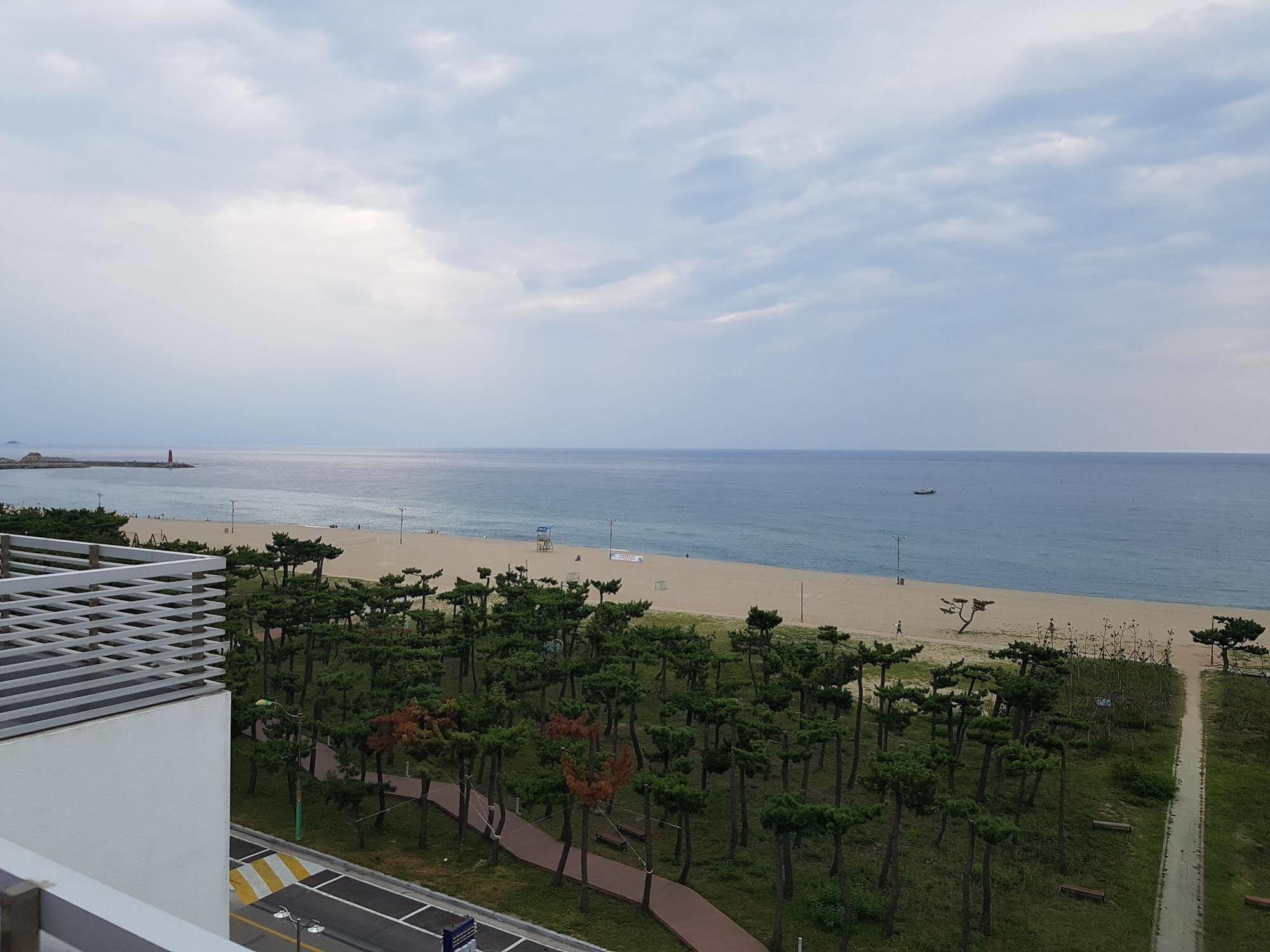 Pine Beach Yangyang Bagian luar foto